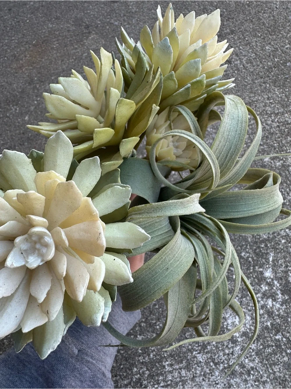 Artificial Succulent and Tillandsia Accent Stem - Green and Cream | Set of 3